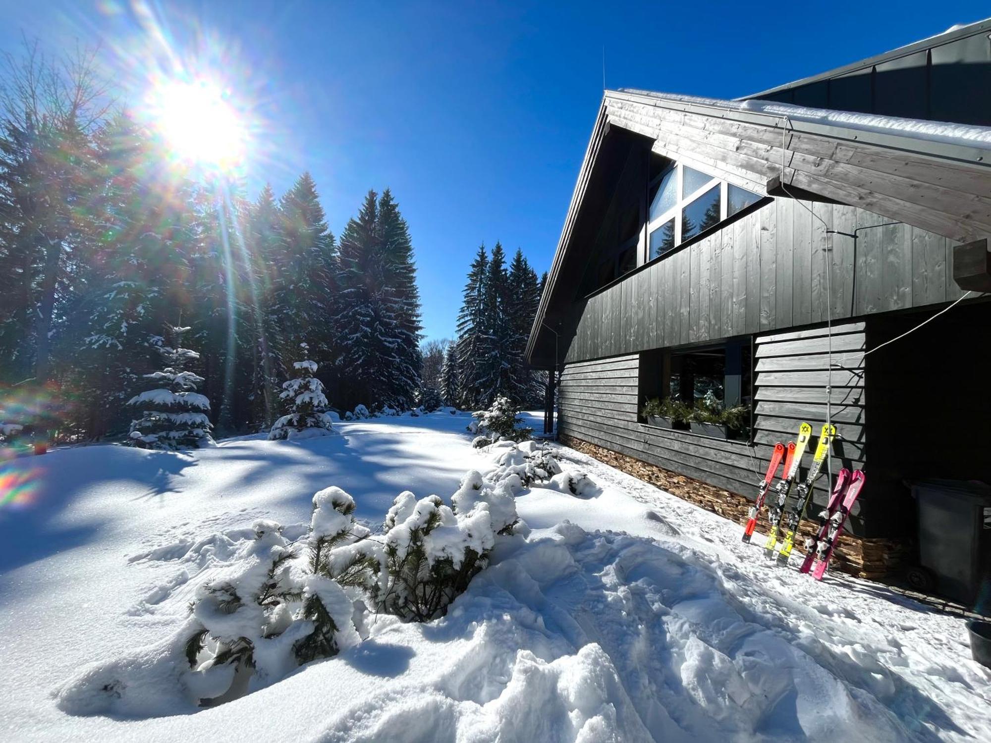 Apartmán V lese Bedřichov Exterior foto