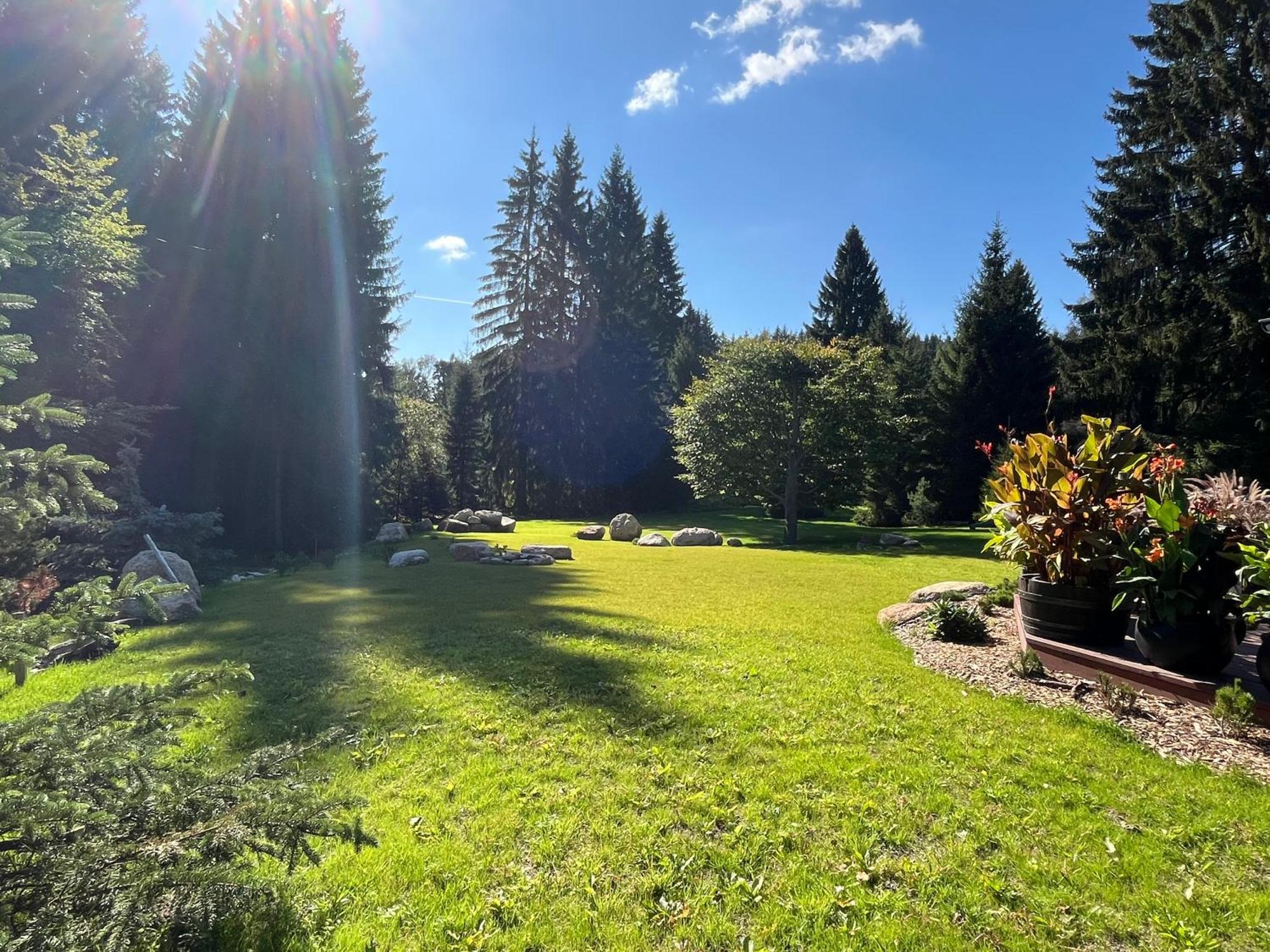 Apartmán V lese Bedřichov Exterior foto